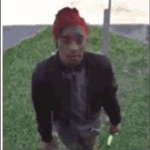 Meet your Posher, Nolan